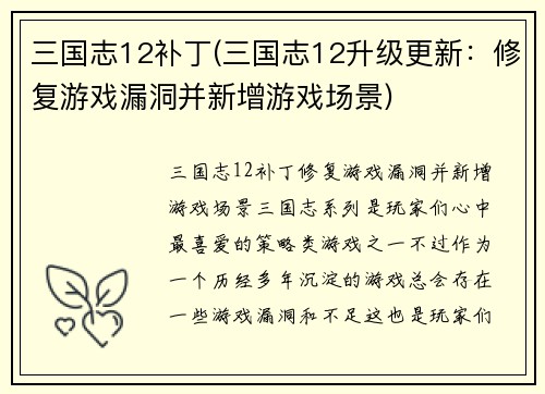 三国志12补丁(三国志12升级更新：修复游戏漏洞并新增游戏场景)